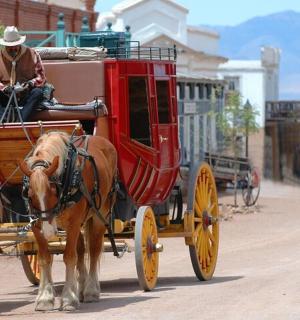 一名男子骑着马车在街上