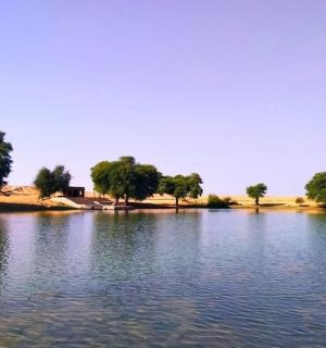 velká vodní plocha se stromy v pozadí