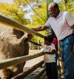 一名男子和一名小孩正在抚摸一头大象