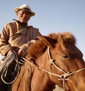 a man riding a horse in a field