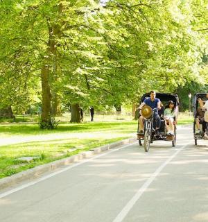 a group of people riding a horse drawn carriage down a road