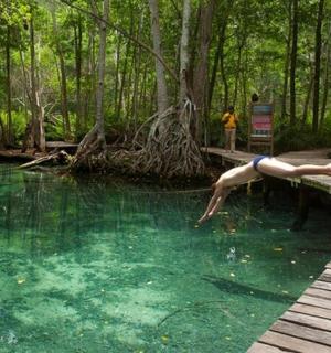bir kişinin su havuzuna atlaması