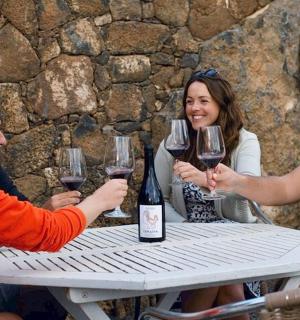 a group of people sitting around a table holding wine glasses