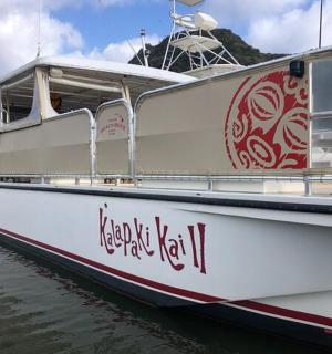 一艘白色的船停靠在水中