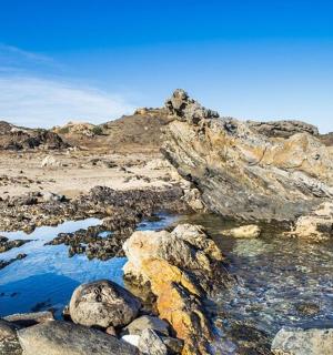 skalnatá pláž s proudem vody a kameny