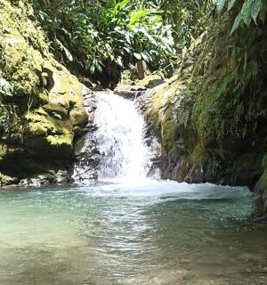 a waterfall in the middle of a river in a jungle