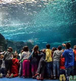 一群人站在一个大型水族馆前