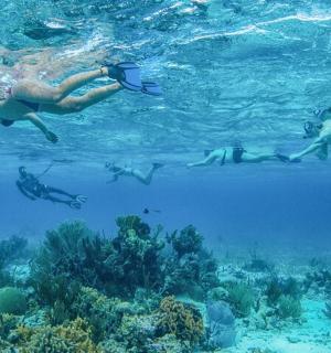 a group of people swimming in the ocean