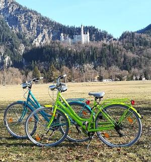 两辆自行车并排停放在田野里