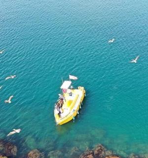 a yellow boat in the water with a flock of birds