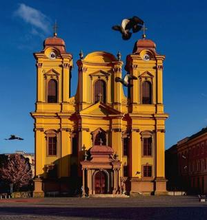 一座黄色的大楼，周围有鸟儿飞翔