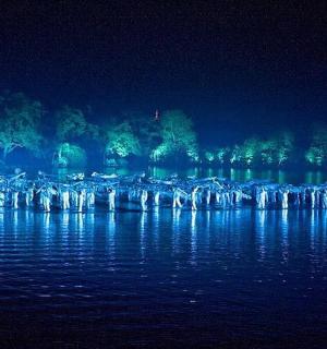 绿灯闪烁的湖景