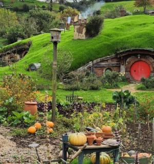 zelený kopec s domem a dýněmi v zahradě