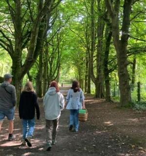 一群人沿着树林里的小路行走