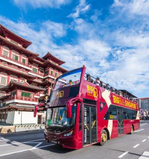 Hop-on, Hop-off Open-top Sightseeing Bus Tour