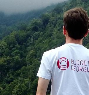 一名身穿白衬衫的男子眺望森林