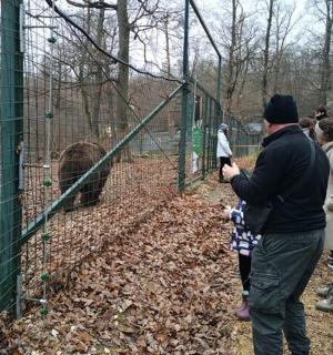 a group of people looking at a bear in a cage