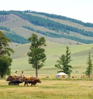 two people are riding on a horse drawn cart in a field