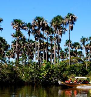 一群人在棕榈树环绕的河上乘船