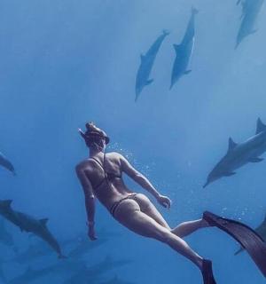 a woman swimming in the water with sharks
