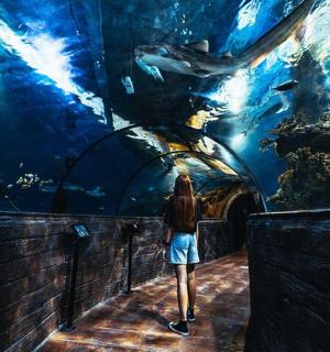 a woman looking at a large aquarium with fish