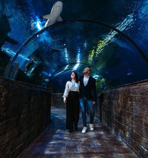 a man and a woman walking through a tunnel in an aquarium