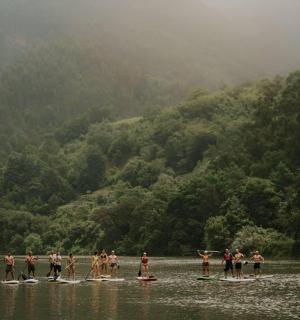 a group of people on paddle boards in the water