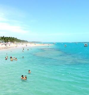 a group of people in the water at a beach
