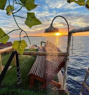 a fish in a net on the deck of a boat
