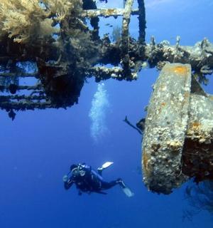 一名潜水员在沉船旁的水中