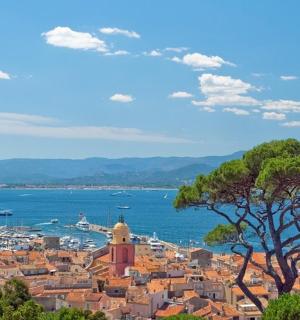 a view of a city with a tree and the ocean