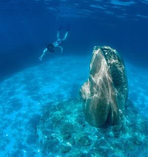 a sea turtle swimming in the ocean with a diver