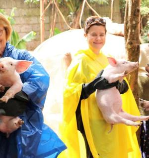 一群妇女手里抱着猪