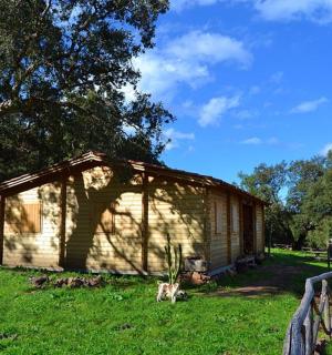 柵の横の草地にある小さな小屋