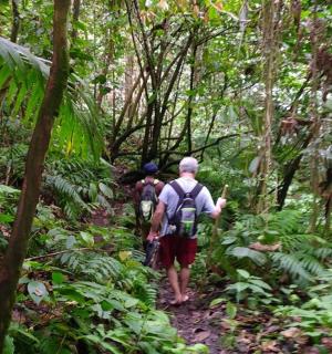 两个人沿着丛林小路行走