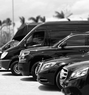 a row of parked trucks parked in a parking lot