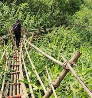 a man walking across a bamboo bridge in a field