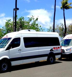 两辆白色货车停在棕榈树旁的停车场