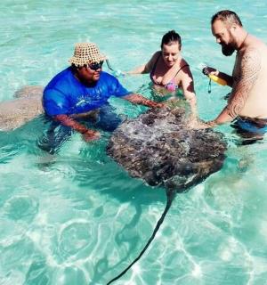 一群人在水里，身边有一只死海龟