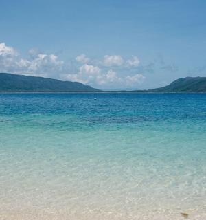 a beach with a person swimming in the water