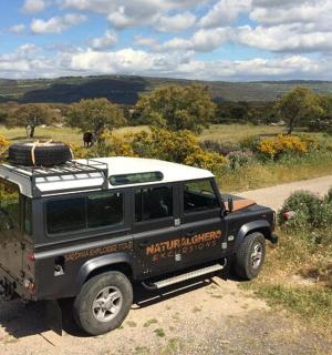 una jeep parcheggiata sul ciglio di una strada sterrata