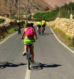 一群人骑着自行车沿着道路行驶