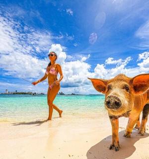 a woman and a dog on the beach