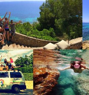 人们在海里游泳的照片拼贴画