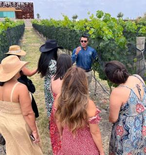 一群人看着葡萄园里的一个人