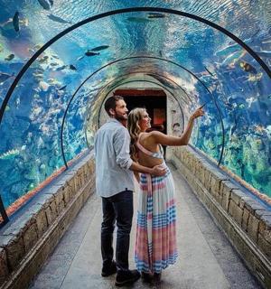 一男一女站在水族馆里