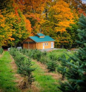 a house in the middle of a field with trees