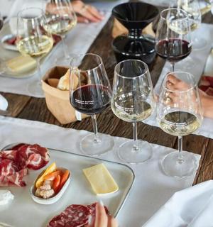 um grupo de pessoas sentadas à mesa com taças de vinho