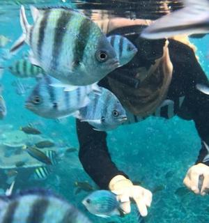 a person in the water with a group of fish