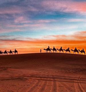 日落时分，一群人骑着骆驼穿越沙漠